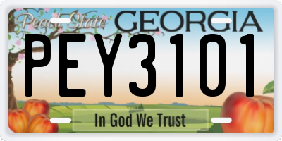 GA license plate PEY3101