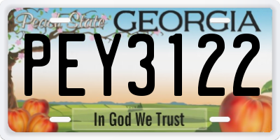 GA license plate PEY3122