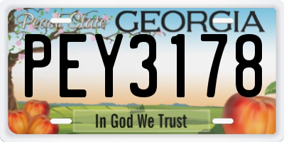 GA license plate PEY3178