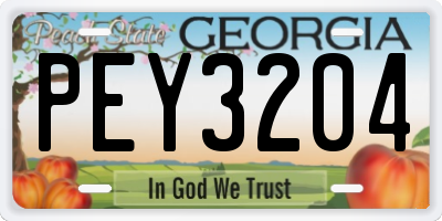 GA license plate PEY3204