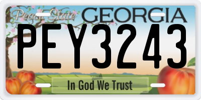 GA license plate PEY3243