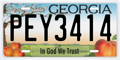 GA license plate PEY3414