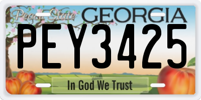 GA license plate PEY3425