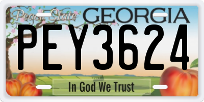GA license plate PEY3624
