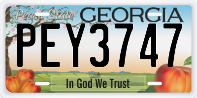 GA license plate PEY3747