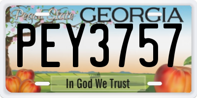 GA license plate PEY3757