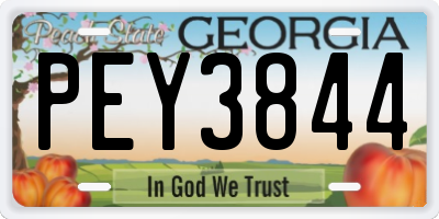 GA license plate PEY3844