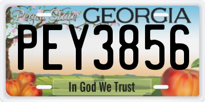 GA license plate PEY3856