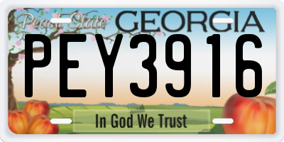 GA license plate PEY3916