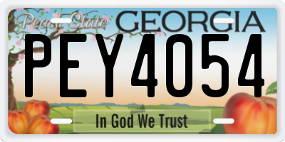 GA license plate PEY4054