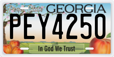 GA license plate PEY4250
