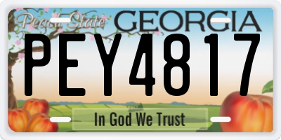 GA license plate PEY4817