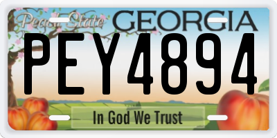 GA license plate PEY4894