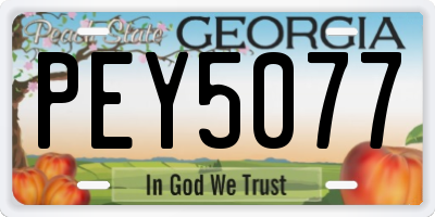 GA license plate PEY5077