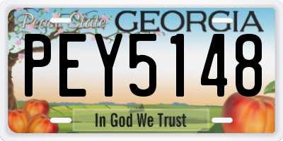 GA license plate PEY5148