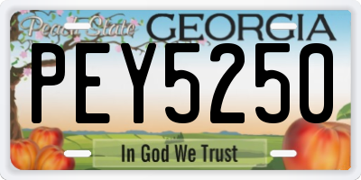 GA license plate PEY5250