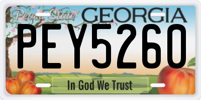 GA license plate PEY5260