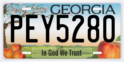 GA license plate PEY5280