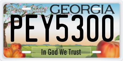 GA license plate PEY5300