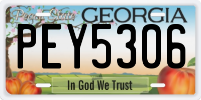 GA license plate PEY5306