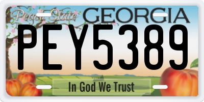 GA license plate PEY5389
