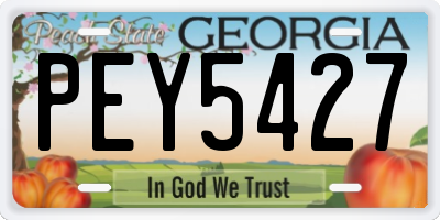 GA license plate PEY5427