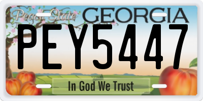 GA license plate PEY5447