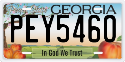 GA license plate PEY5460