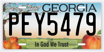 GA license plate PEY5479
