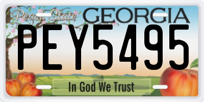 GA license plate PEY5495