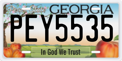 GA license plate PEY5535