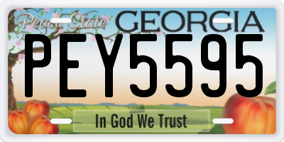GA license plate PEY5595