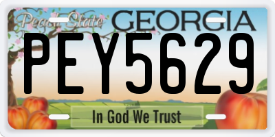 GA license plate PEY5629