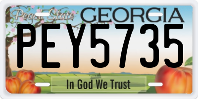 GA license plate PEY5735