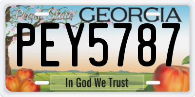 GA license plate PEY5787
