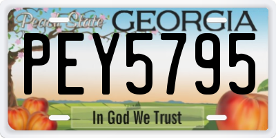 GA license plate PEY5795