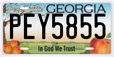 GA license plate PEY5855