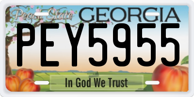 GA license plate PEY5955