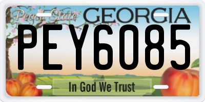 GA license plate PEY6085