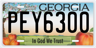 GA license plate PEY6300