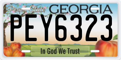 GA license plate PEY6323