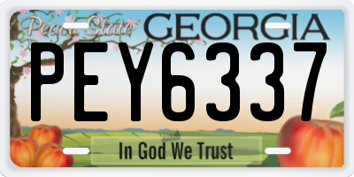 GA license plate PEY6337