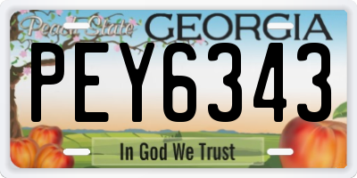 GA license plate PEY6343