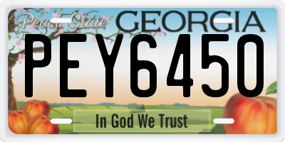 GA license plate PEY6450