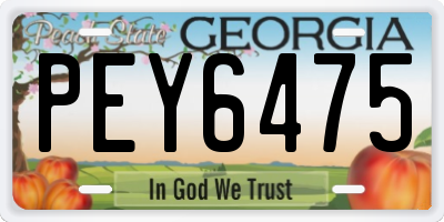 GA license plate PEY6475