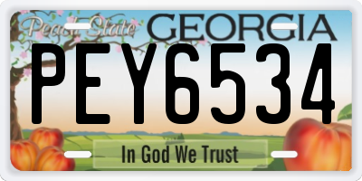 GA license plate PEY6534