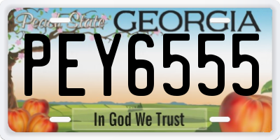 GA license plate PEY6555