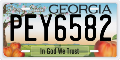 GA license plate PEY6582