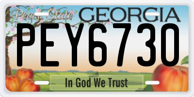 GA license plate PEY6730