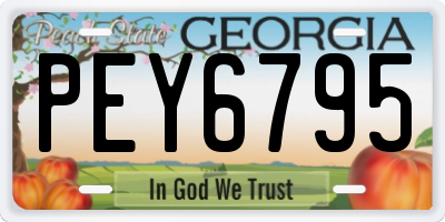 GA license plate PEY6795